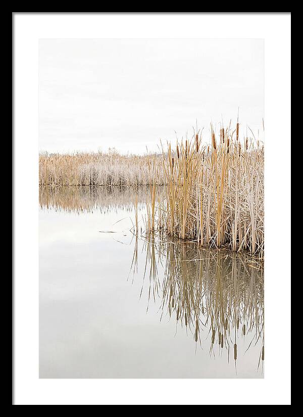 Autumn Marsh Reflections