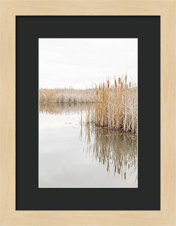 Autumn Marsh Reflections