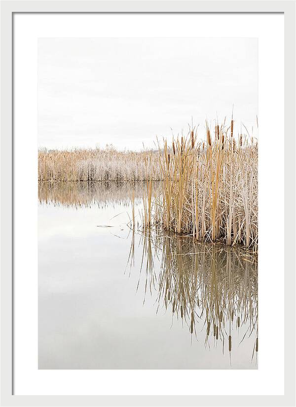 Autumn Marsh Reflections