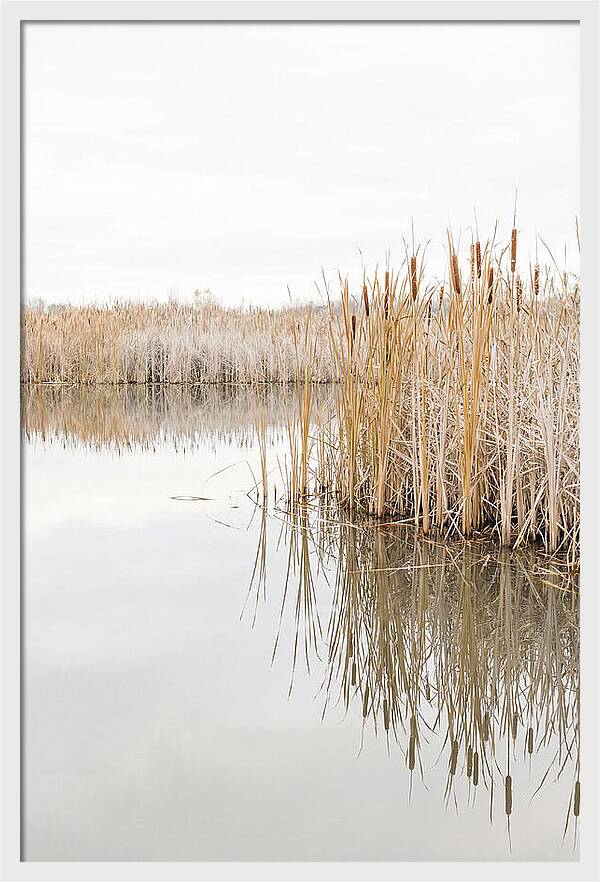 Autumn Marsh Reflections