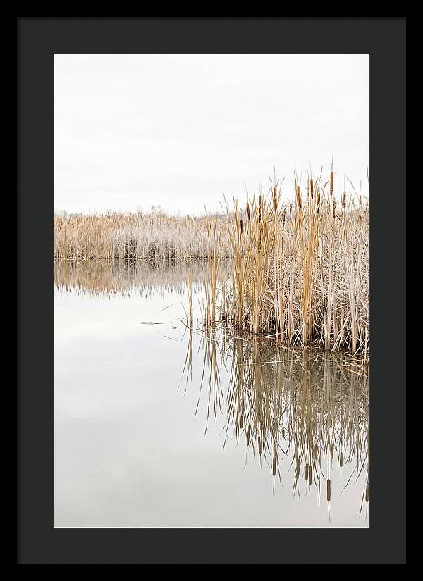 Autumn Marsh Reflections