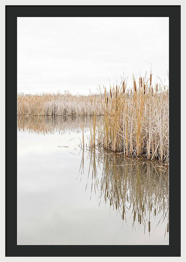Autumn Marsh Reflections
