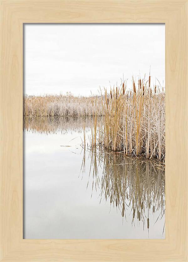 Autumn Marsh Reflections