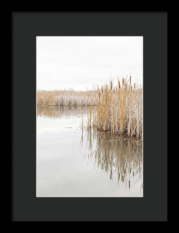 Autumn Marsh Reflections