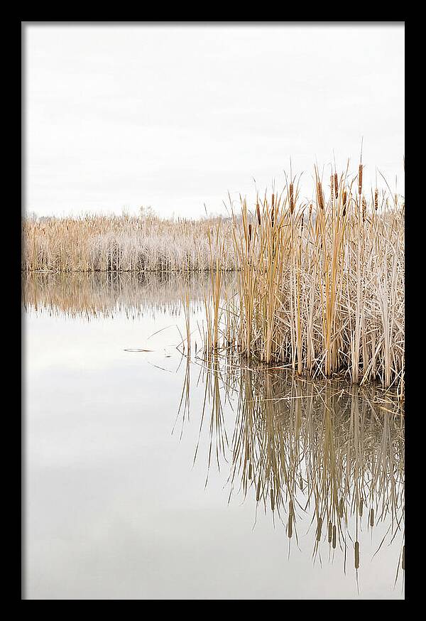 Autumn Marsh Reflections