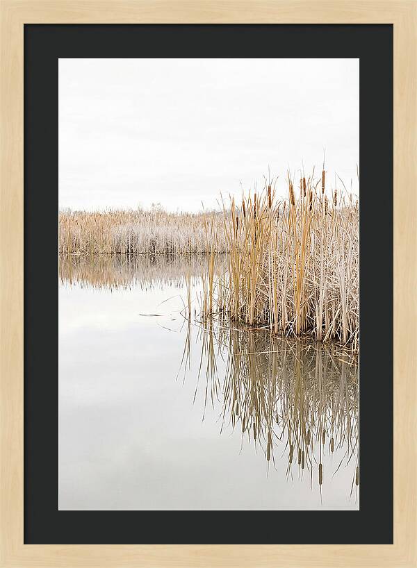 Autumn Marsh Reflections