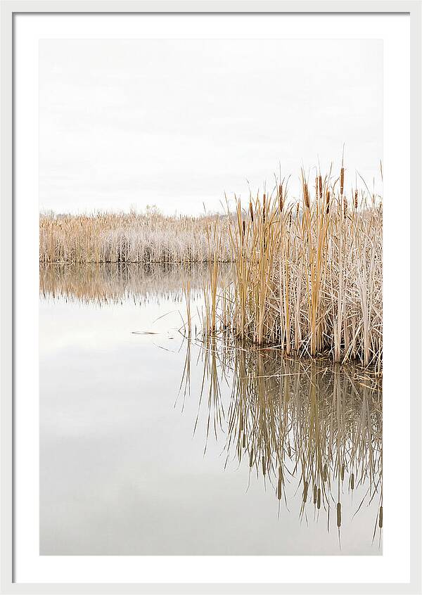Autumn Marsh Reflections