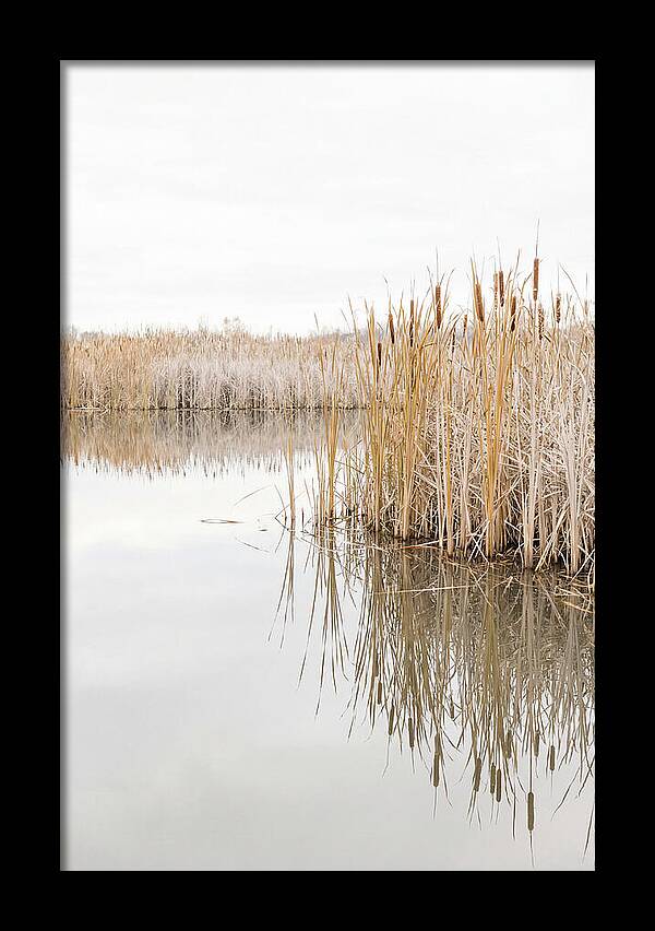 Autumn Marsh Reflections