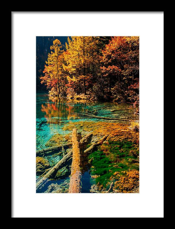 Autumn Reflections At Five Flower Lake