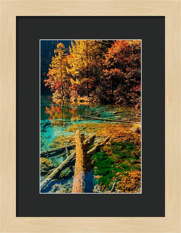 Autumn Reflections At Five Flower Lake