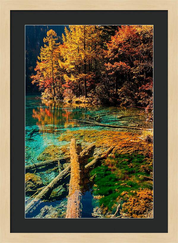 Autumn Reflections At Five Flower Lake