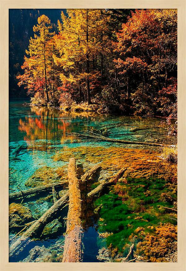 Autumn Reflections At Five Flower Lake