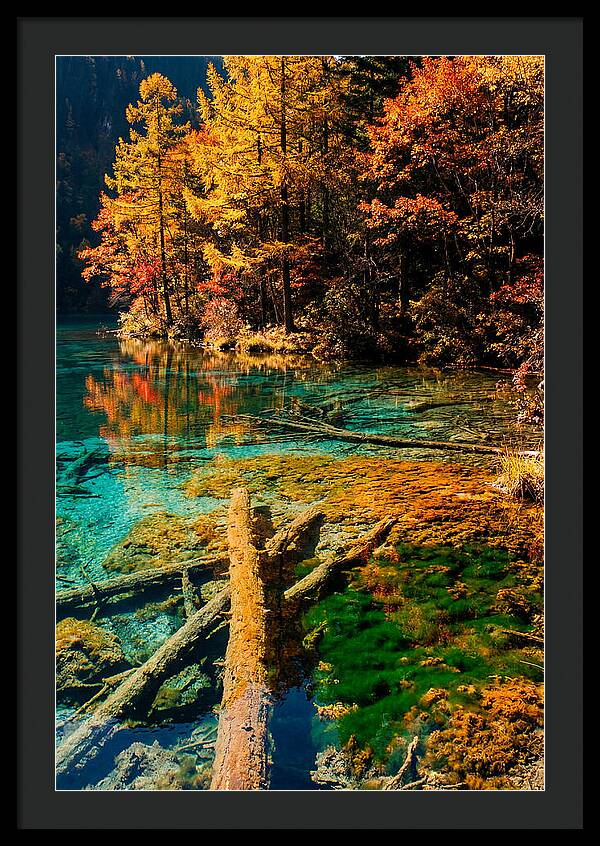 Autumn Reflections At Five Flower Lake