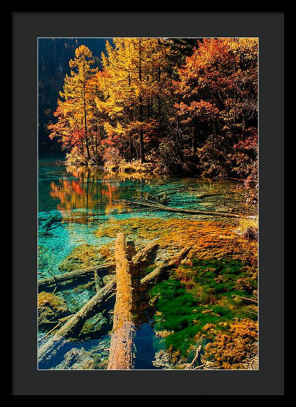 Autumn Reflections At Five Flower Lake