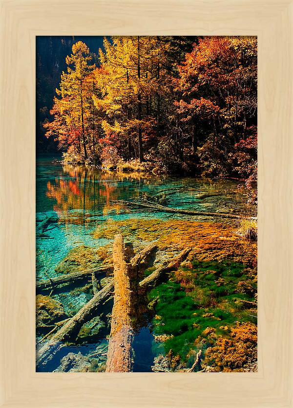 Autumn Reflections At Five Flower Lake