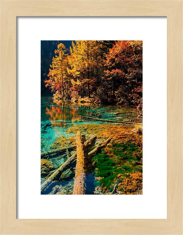 Autumn Reflections At Five Flower Lake