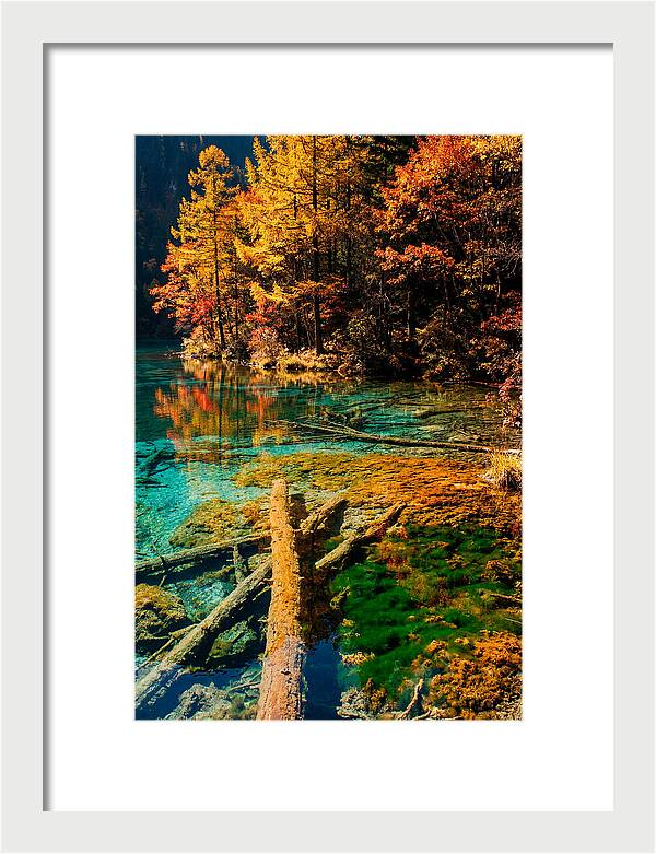 Autumn Reflections At Five Flower Lake