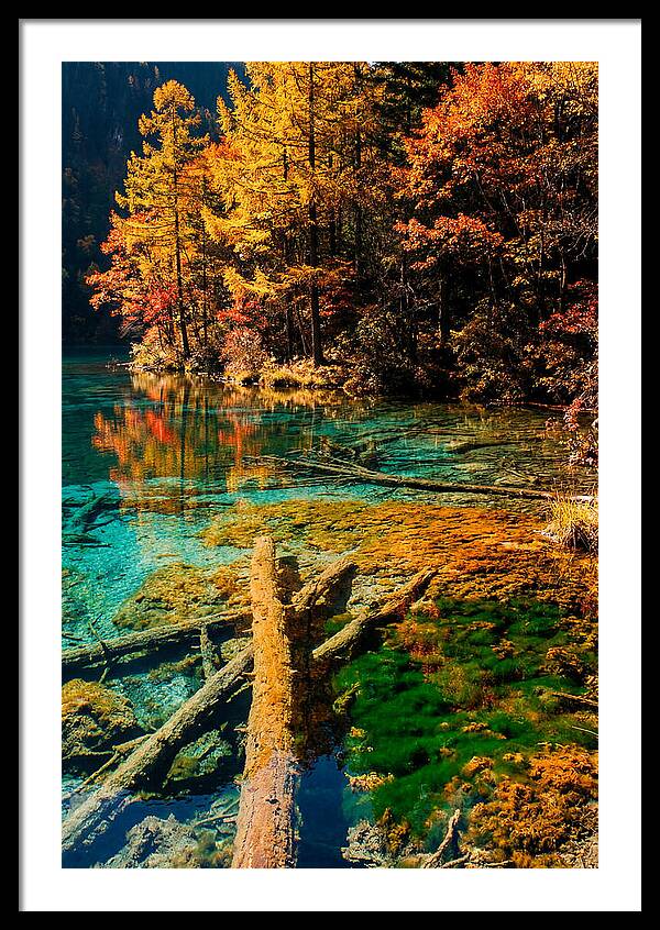 Autumn Reflections At Five Flower Lake