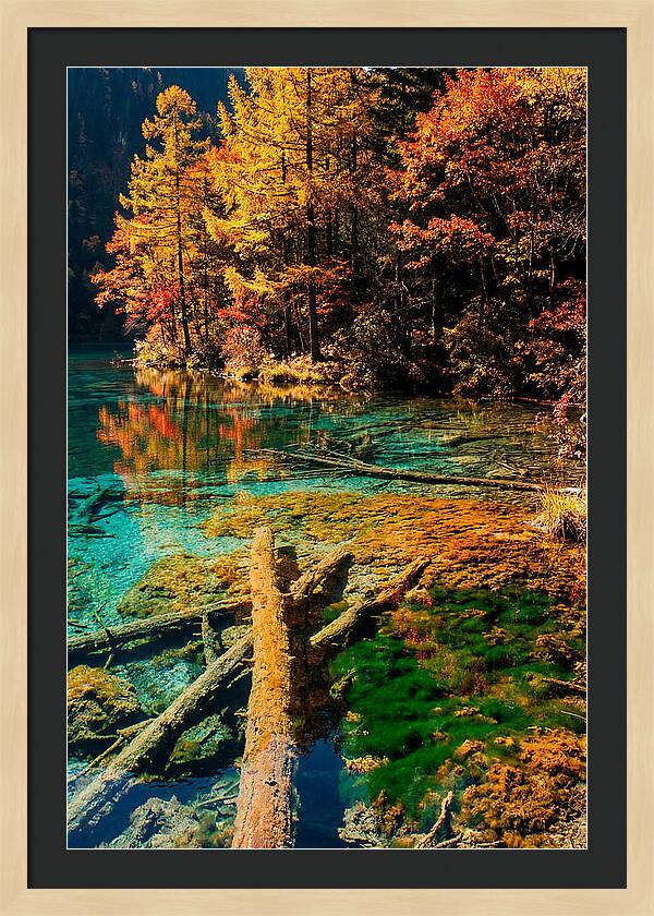 Autumn Reflections At Five Flower Lake