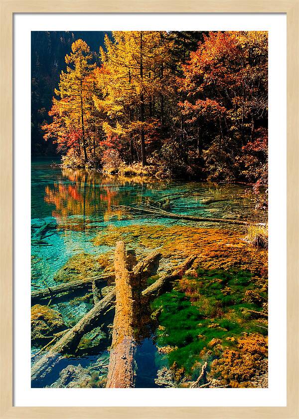 Autumn Reflections At Five Flower Lake