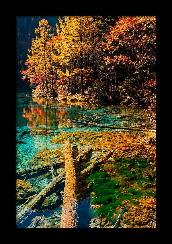 Autumn Reflections At Five Flower Lake