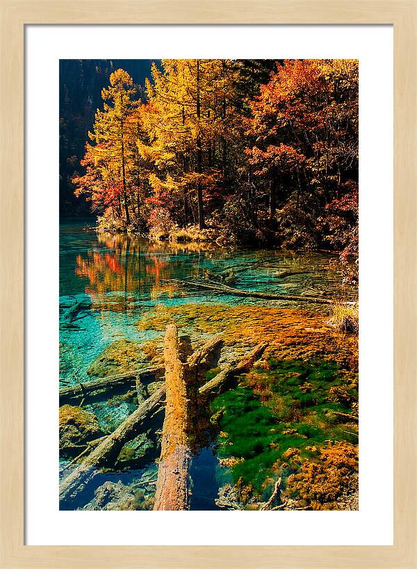 Autumn Reflections At Five Flower Lake