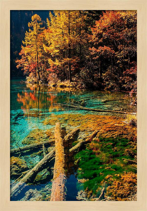 Autumn Reflections At Five Flower Lake