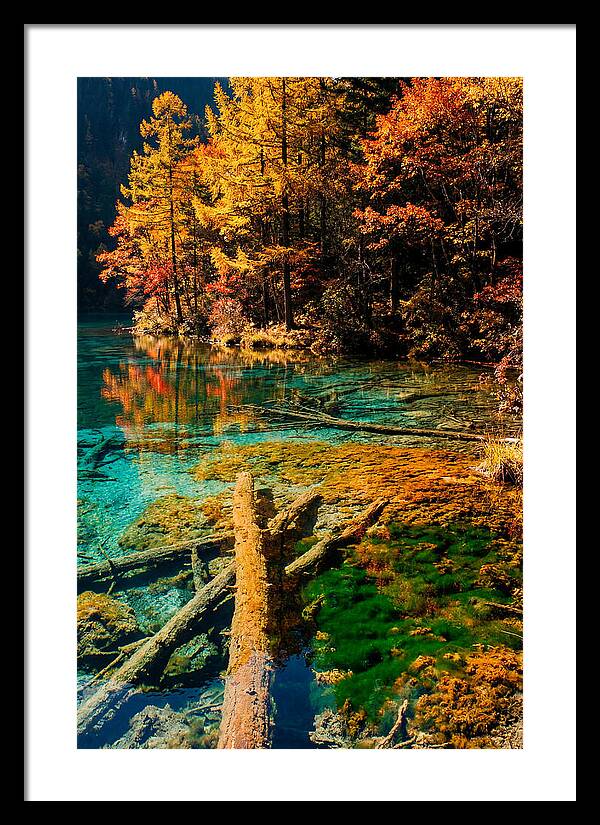 Autumn Reflections At Five Flower Lake