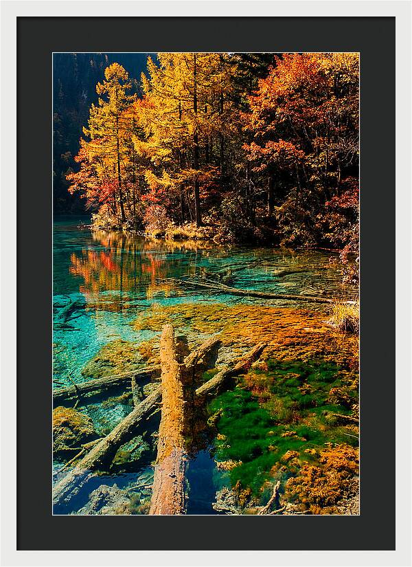 Autumn Reflections At Five Flower Lake