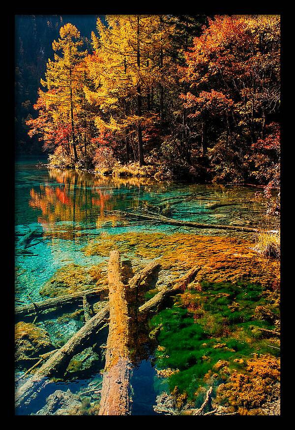 Autumn Reflections At Five Flower Lake