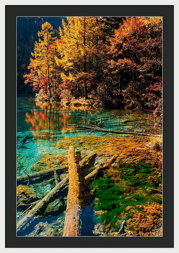 Autumn Reflections At Five Flower Lake