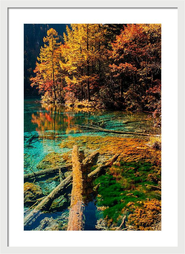 Autumn Reflections At Five Flower Lake
