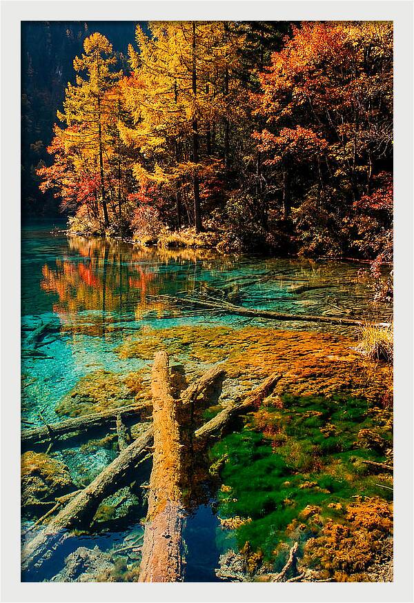 Autumn Reflections At Five Flower Lake