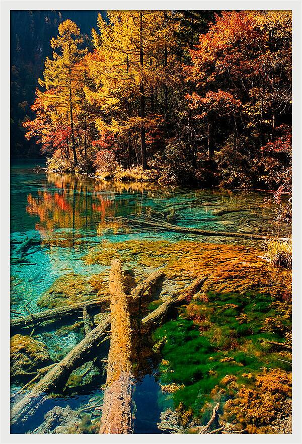 Autumn Reflections At Five Flower Lake