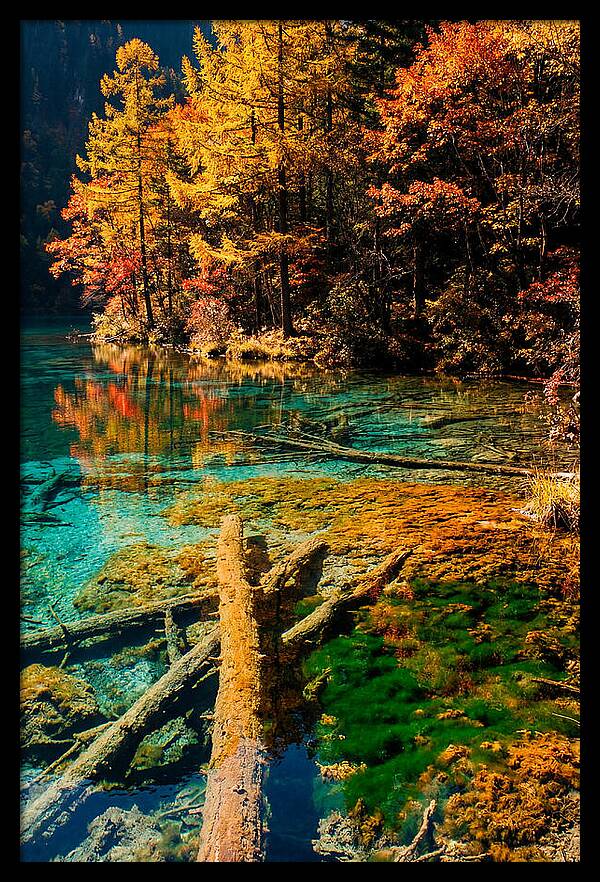 Autumn Reflections At Five Flower Lake