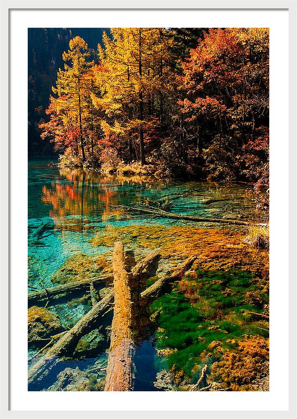 Autumn Reflections At Five Flower Lake
