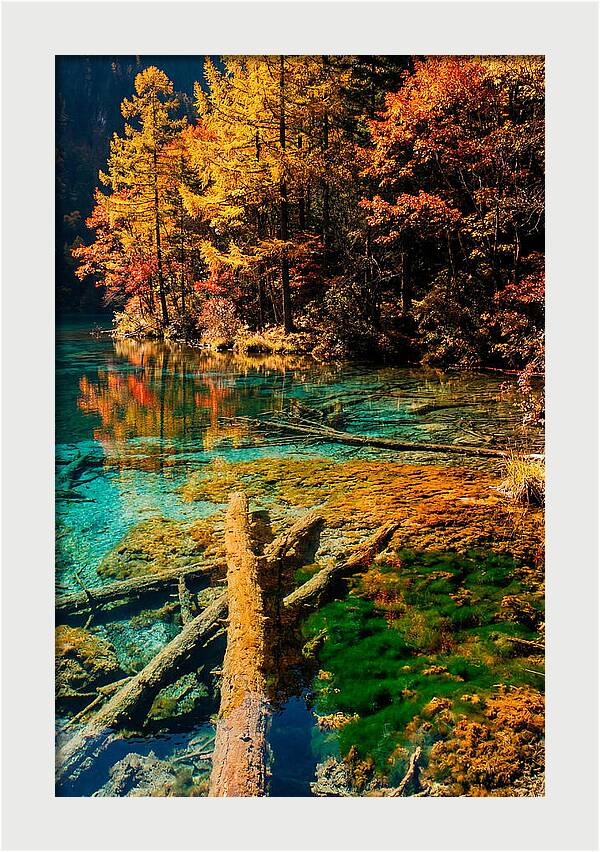 Autumn Reflections At Five Flower Lake