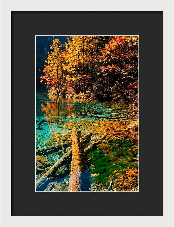 Autumn Reflections At Five Flower Lake