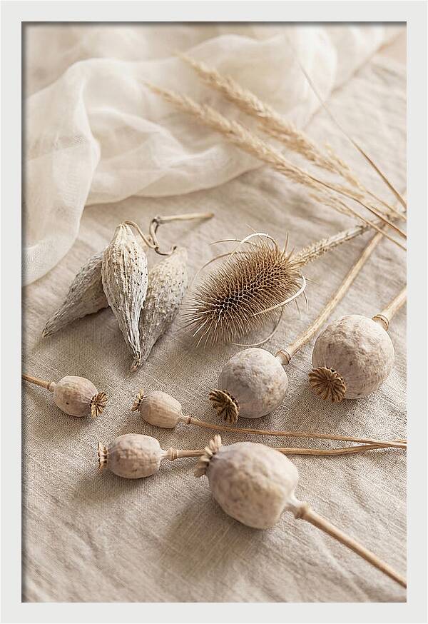 Autumn Seed Pod Collection