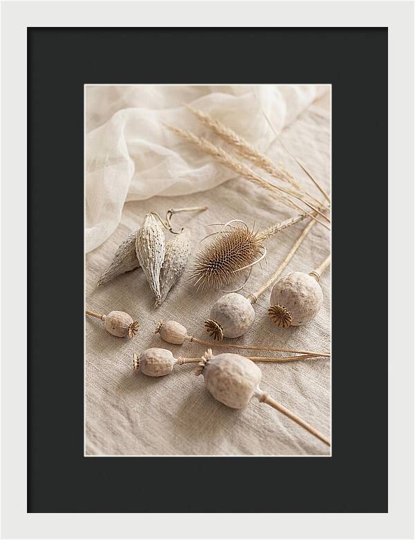 Autumn Seed Pod Collection