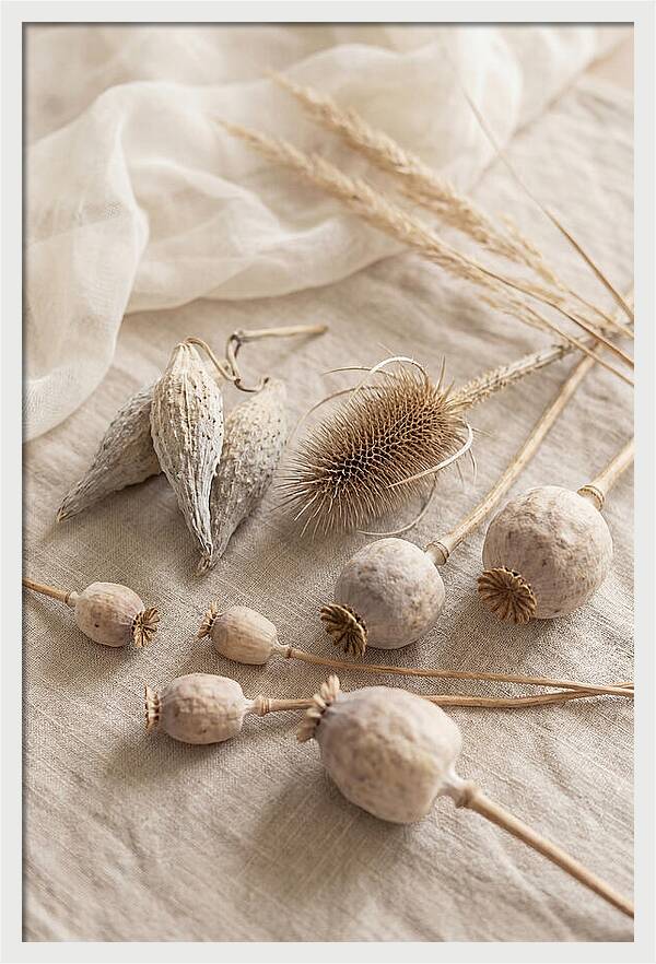 Autumn Seed Pod Collection