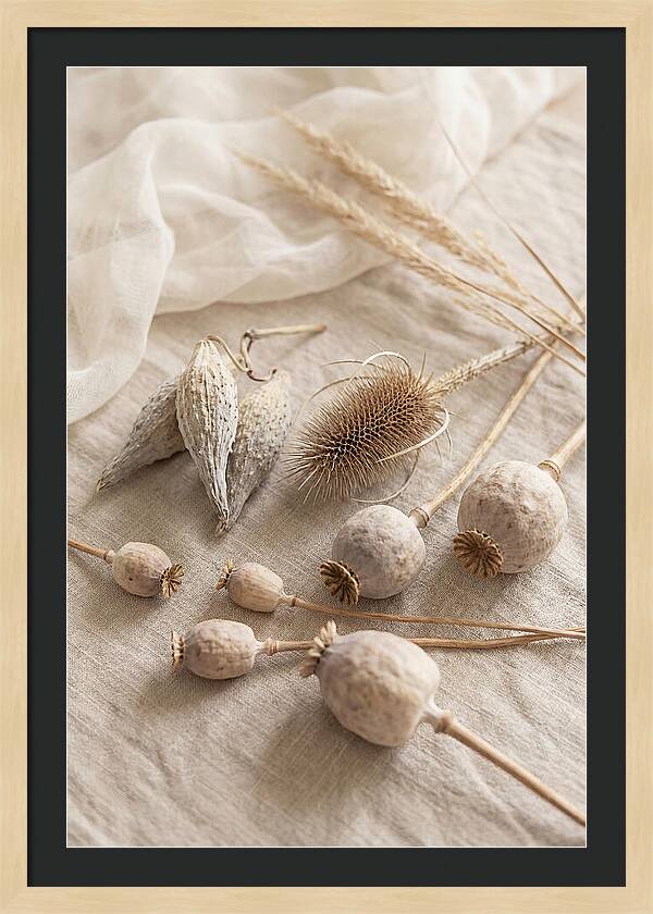Autumn Seed Pod Collection