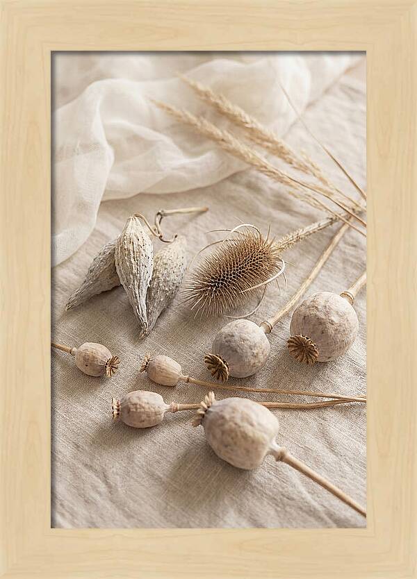 Autumn Seed Pod Collection