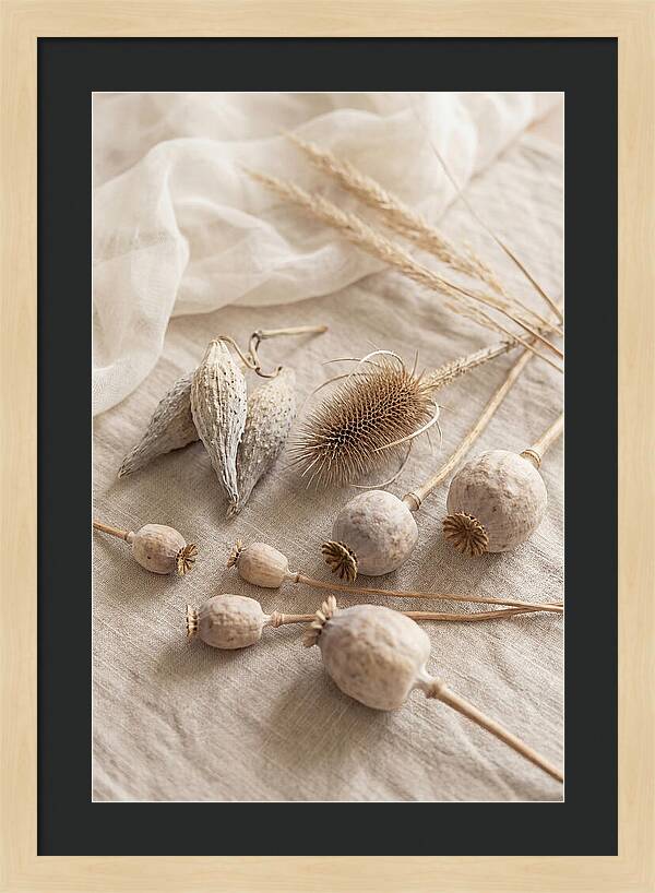 Autumn Seed Pod Collection