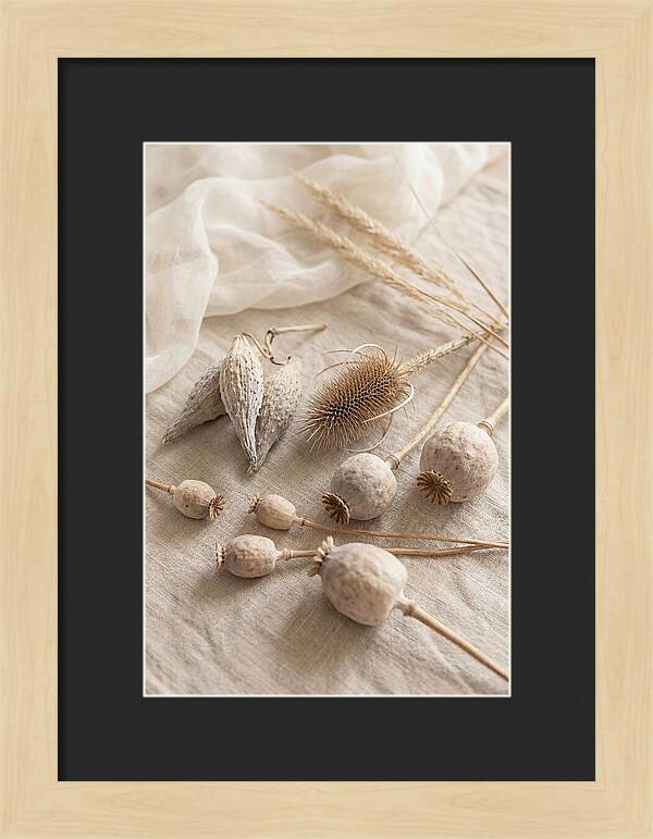 Autumn Seed Pod Collection