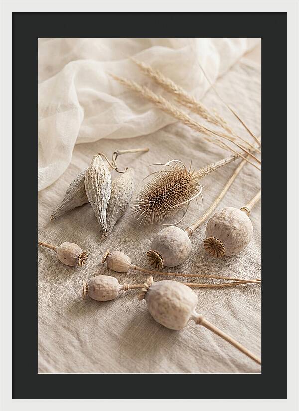 Autumn Seed Pod Collection