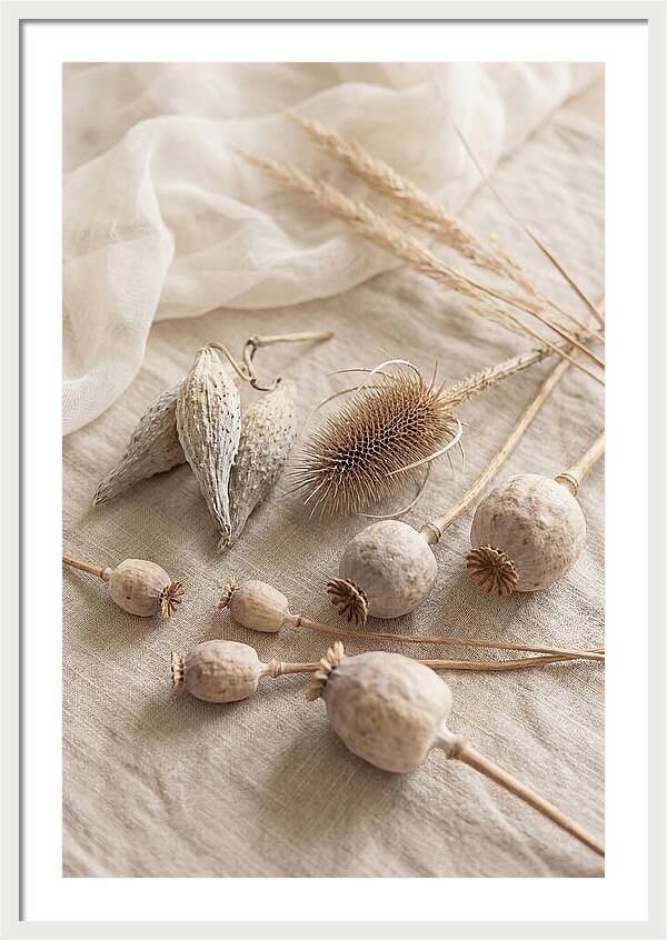 Autumn Seed Pod Collection