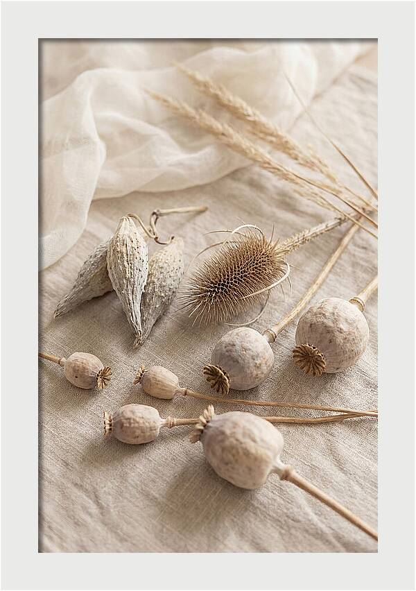 Autumn Seed Pod Collection