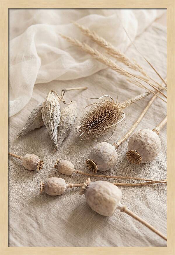 Autumn Seed Pod Collection