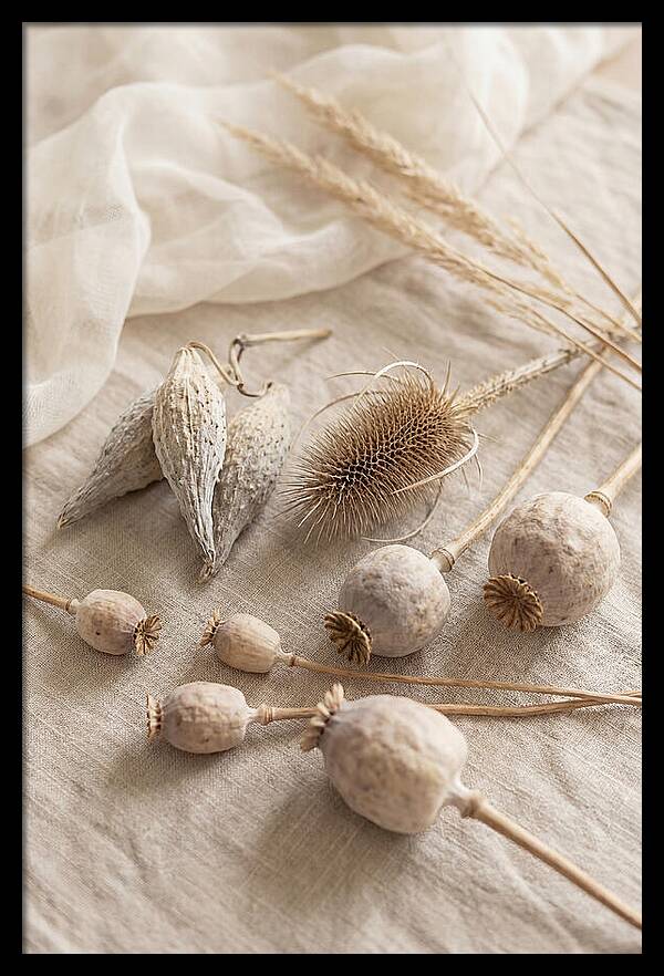 Autumn Seed Pod Collection